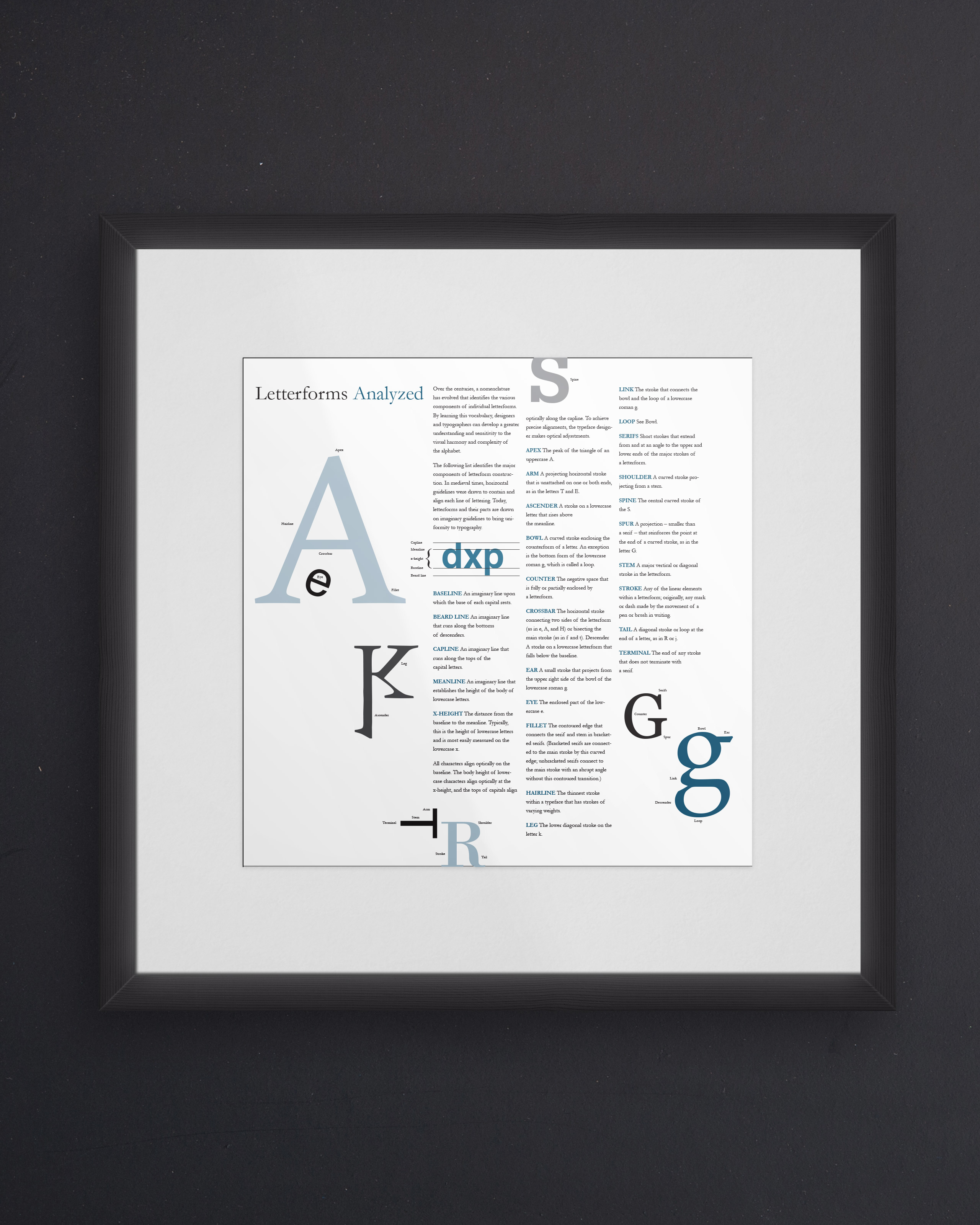 Letterforms Analyzed 1